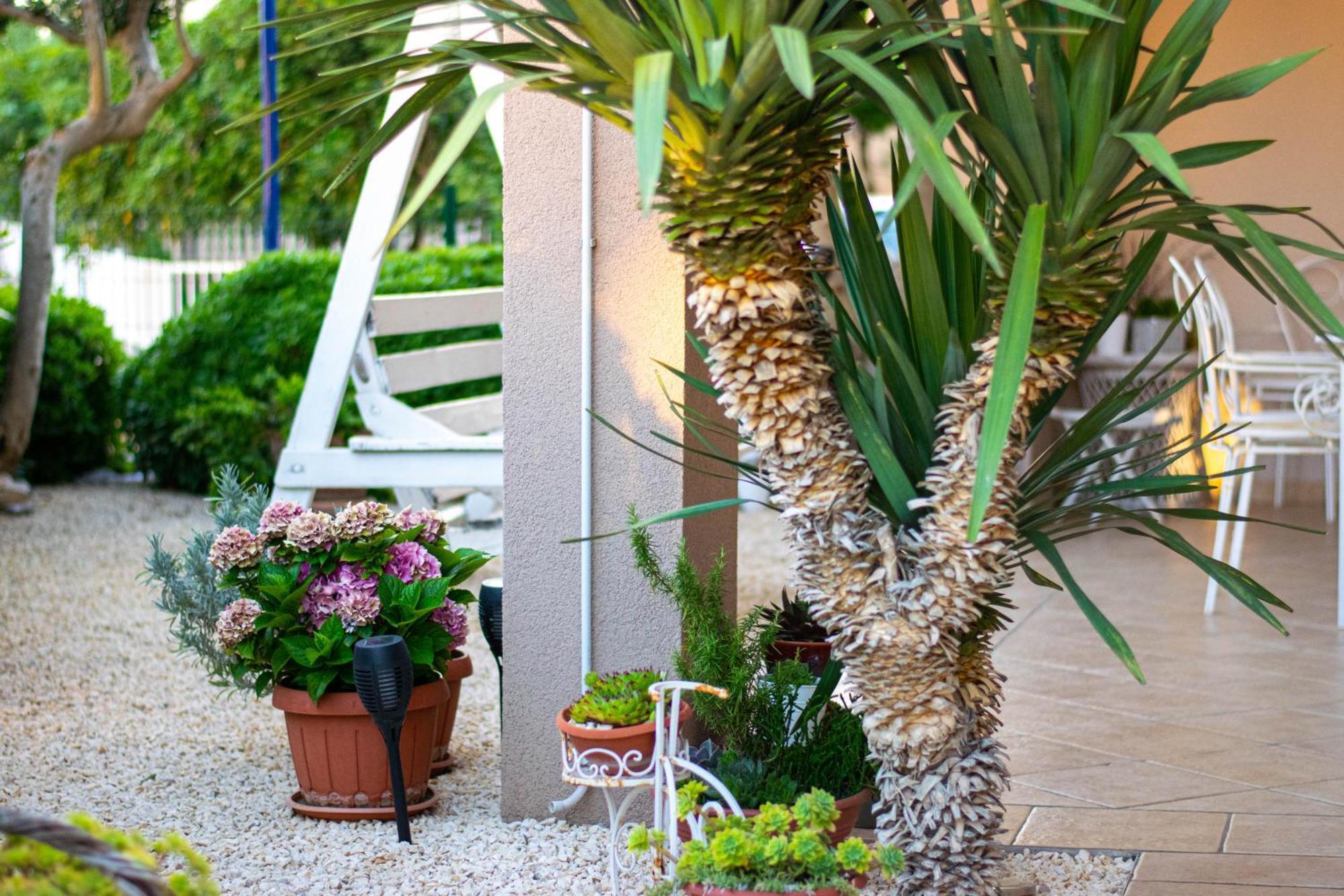 Apartments Anita Frane Vodice Dış mekan fotoğraf